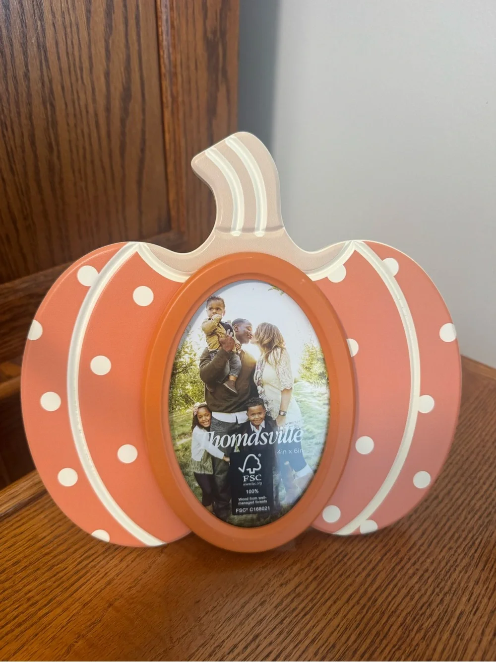 THOMASVILLE FALL/HALLOWEEN ORANGE PUMPKIN/POLKA DOT  PICTURE FRAMES NEW